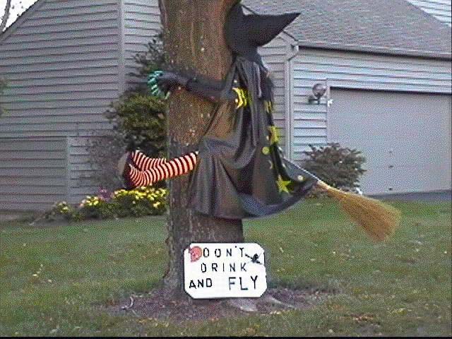 don´t drink and fly